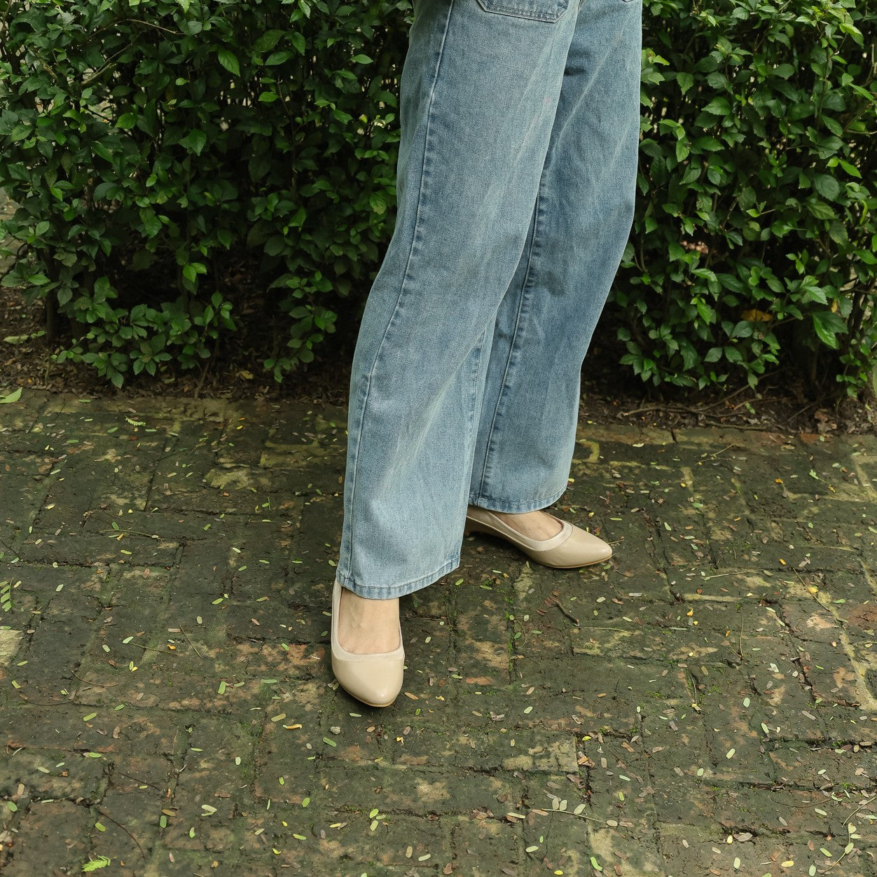 Selina X Pointed Kitten Heel