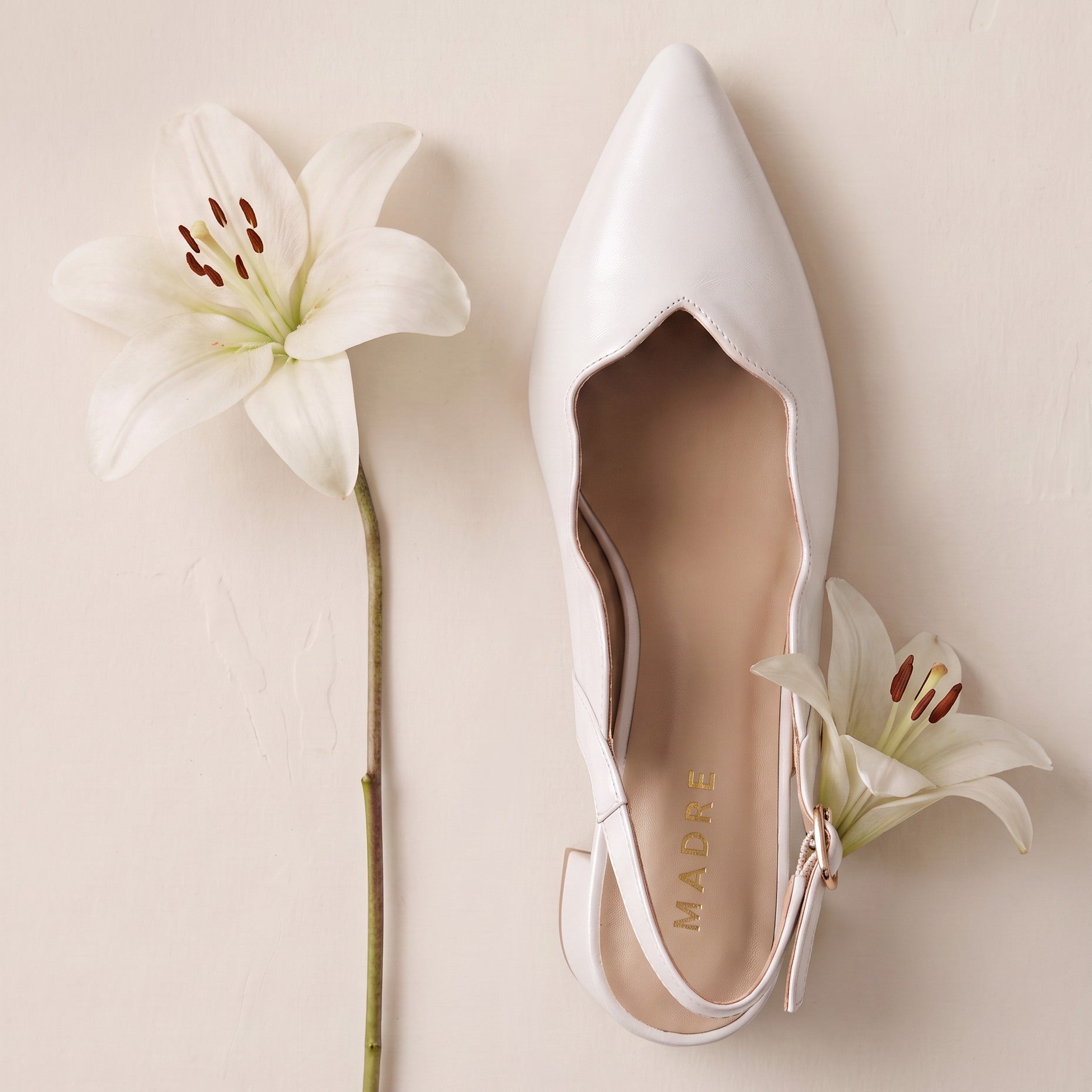 Lilea Pointed Slingback Heel