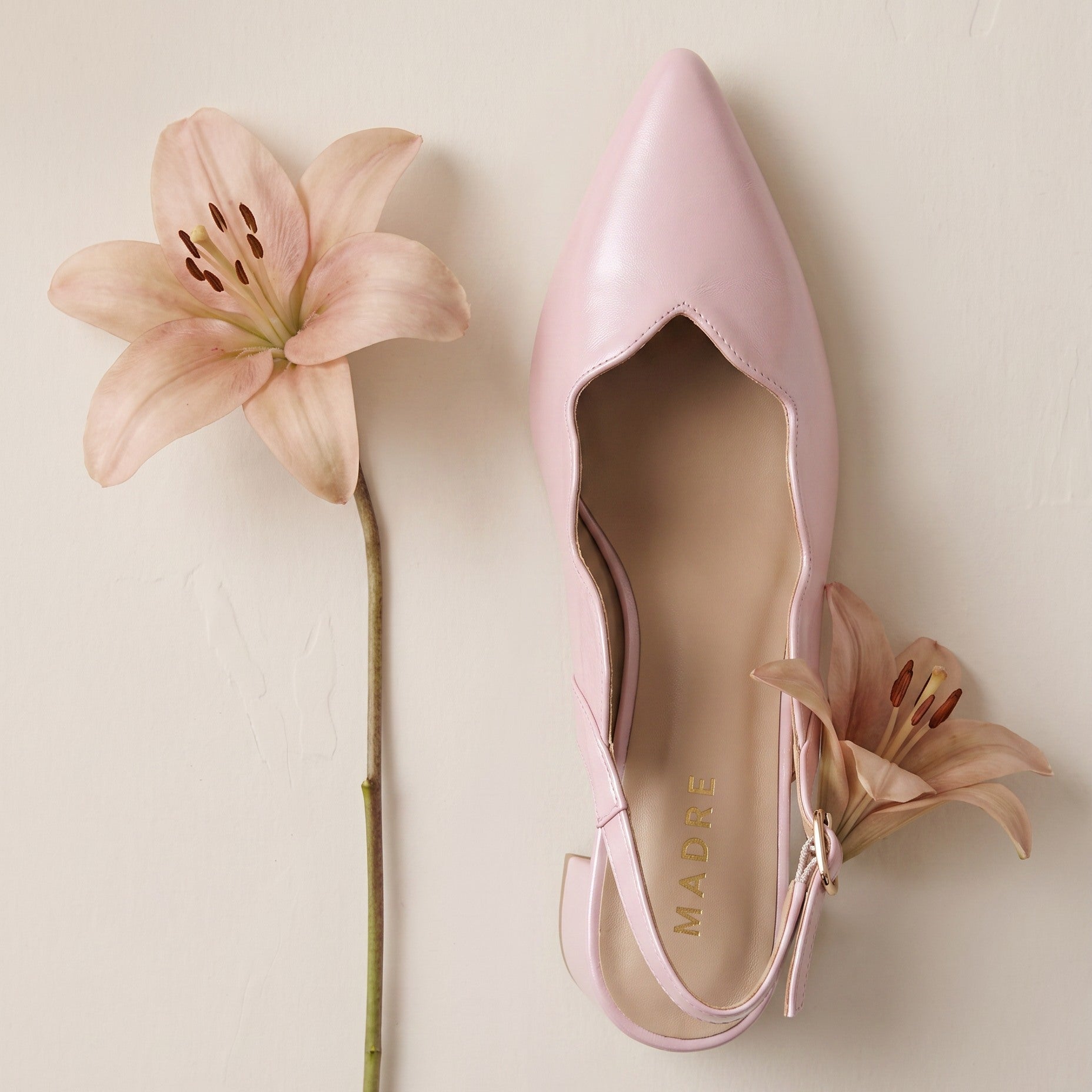 Lilea Pointed Slingback Heel