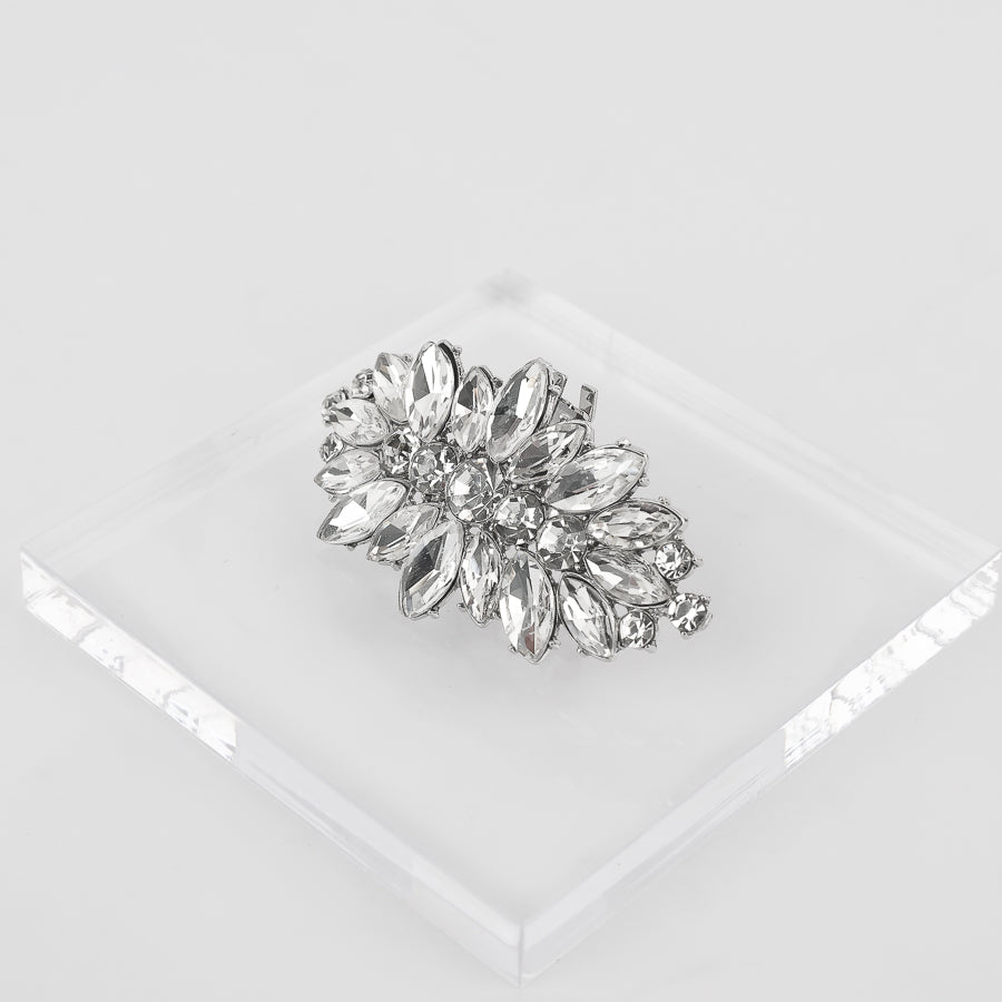 ClipGlam™ Shoe Clip